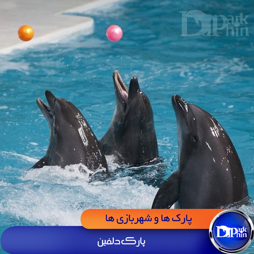 پارک دلفین کیش